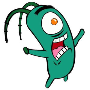 Meet your Posher, Ana